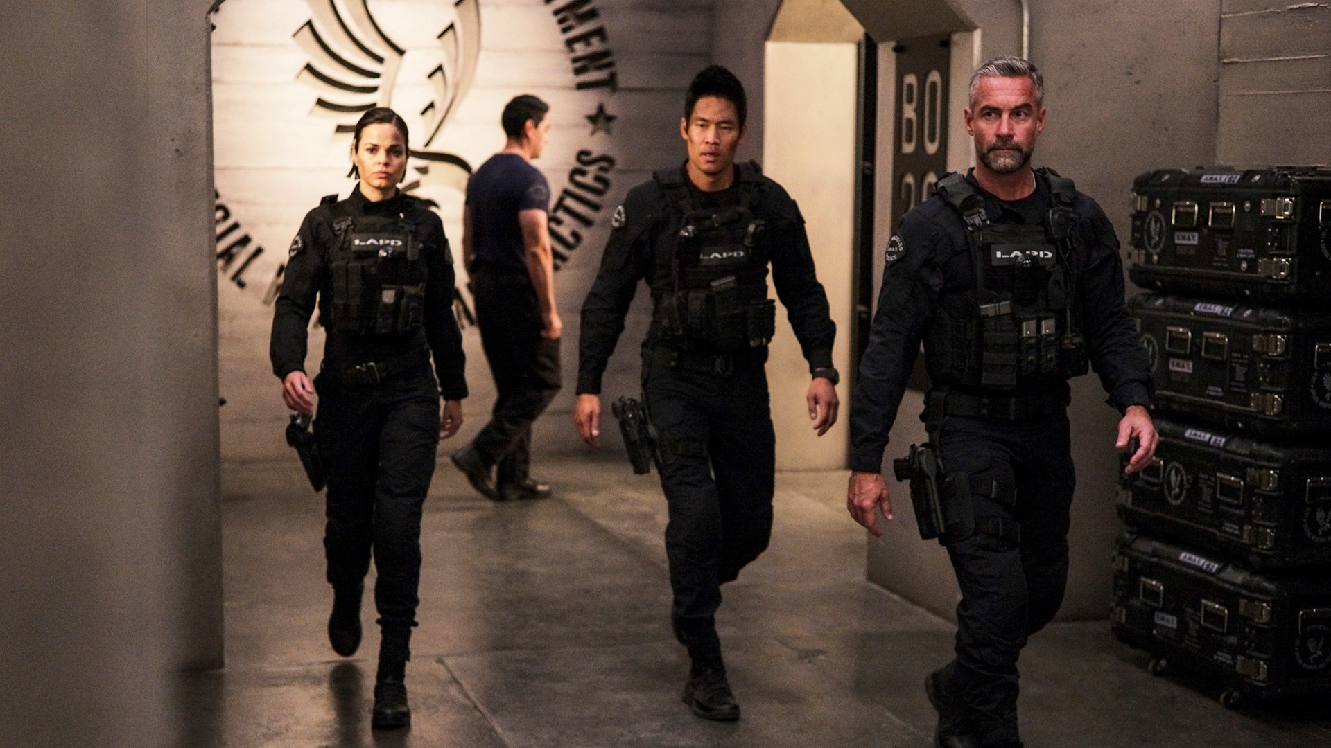 watch all swat episodes watch all swat episodes